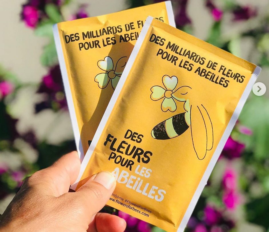 Lot de 10 sachets