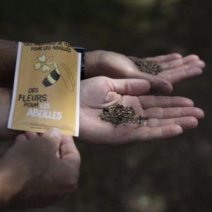 Lot de 10 sachets